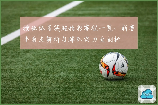 搜狐体育英超精彩赛程一览，新赛季看点解析与球队实力全剖析