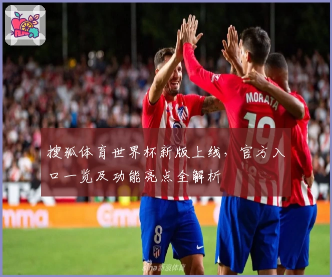 搜狐体育世界杯新版上线，官方入口一览及功能亮点全解析
