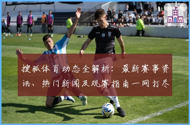 搜狐体育动态全解析：最新赛事资讯、热门新闻及观赛指南一网打尽