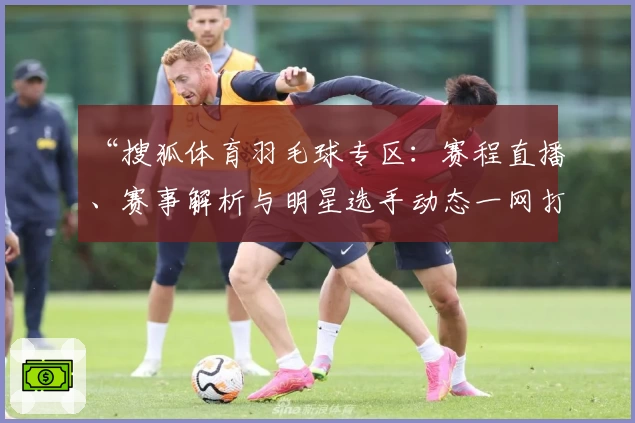 “搜狐体育羽毛球专区：赛程直播、赛事解析与明星选手动态一网打尽”