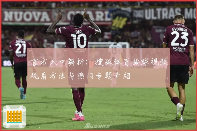 官方入口解析：搜狐体育排球视频观看方法与热门专题介绍